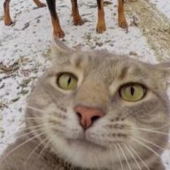 qwer1