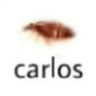 loxera