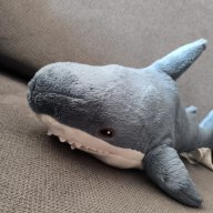 Domsz