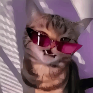 [REDACTED]