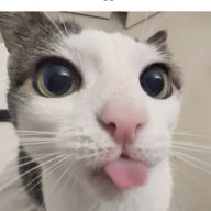 Cav69