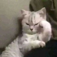 randomuser