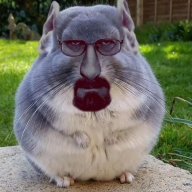 katonar